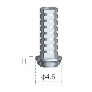 4.6 Pilier provisoire (sans anti-rotation)