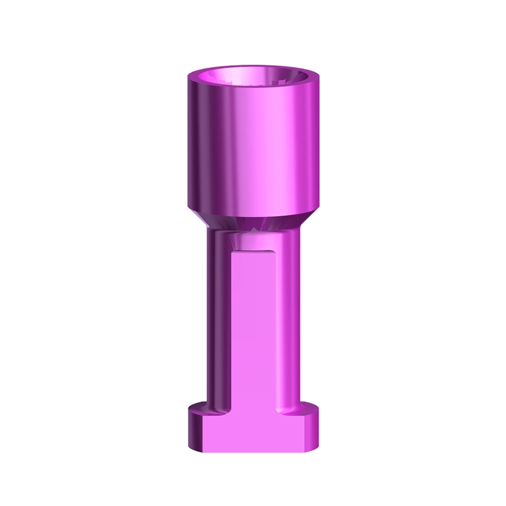 Implant Replica