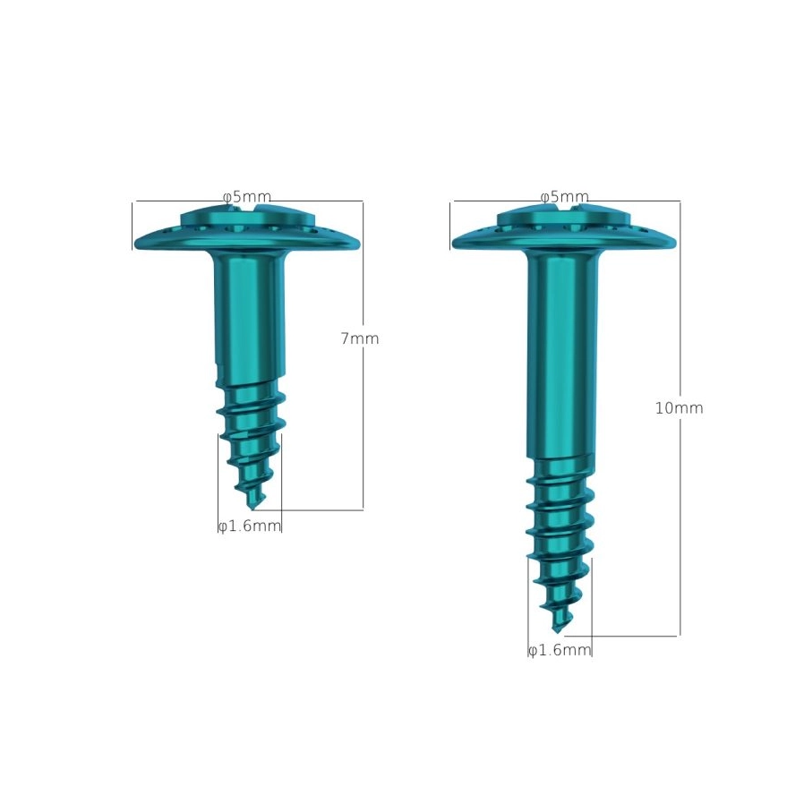 Titanium Perforated Tenting Screw for GBR